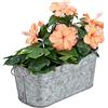 Relaxdays Fioriera, per Giardino, Balcone e Casa, Vaso per Piante, Design-Vintage, Metallo, HLP 16x38x19 cm, Zincato