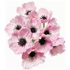 Rikyo 10 mazzi di fiori di papavero artificiali in poliuretano che non sbiadiscono per cucina, centrotavola, vaso, casa, verde di nozze, sfondo (rosa)