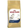Royal Canin | Ragdoll Adult | 400 G