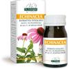 Dr Giorgini Echinacea Estratto Titolato all'8%, integratore alimentare - 30 g