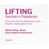 LABO INTERNATIONAL Srl Lifting Facciale E Palpebrale Crema Giorno Grado 5 LABO 50ml