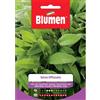 Blumen salvia officinalis