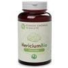 FUNGHI ENERGIA&SALUTE Srl HERICIUM POLVERE BIO 100G