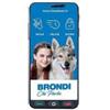 Brondi Smartphone Brondi Amico S+B 5.7 2GB/16GB/4G/Dual sim/2800mAh/Nero