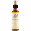 SCHWABE PHARMA ITALIA Schwabe Pharma Wild Oat Fiori Di Bach Original Rimedio Fitoterapico 20ml