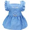 Izefia Abito per Cani Cucciolo Gonna di Lusso Vestiti Abiti da Principessa Aabito da Sera per Matrimoni Gonna Tutu Gonna in Denim per Cani di Piccola Taglia