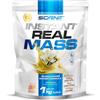 Scenit Redefining your Body Instant Real Mass - 1 kg - Mass Gainer - gainer massa muscolare - weight gainer - Gainer aumento massa - Mass gainer con creatina (1 kg, Fragola)
