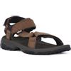 TEVA BRN TERRA FI LITE LTR