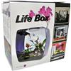 Lucky Reptile Lucky Rettile Life Box terrario Design