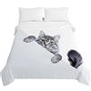 Surwin Trapuntino Copriletto Trapuntato Primaverile Estivo, Trapuntino in Morbida Microfibra Reversibile con Motivo Gatto 3D Leggero Coperta Letto Singolo/Matrimoniale (Gatto Grigio,230x280cm)
