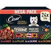 Cesar Natural Goodness Terrine Cibo Umido per Cani al gusto di Pollame, Tacchino, Manzo e Salmone in Patè, 24 Vaschette da 100g