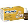 MONTEFARMACO OTC SPA Vitalmix pappa reale Integratore alimentare a base di pappa reale 10 flaconcini