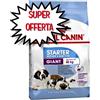 ROYAL CANIN CANE GIANT STARTER 15 KG