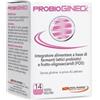 Pool Pharma Probiogineck 14 Capsule