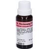 Dr.reckeweg & CO. DR.RECKEWEG R67 Gocce 22 ml