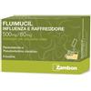 Fluimucil Influenza E Raffreddore 500 Mg/60 Mg Granulato Per Soluzione Orale Paracetamolo E Pseudoefedrina Cloridr