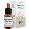 Quintessenza Lavanda Ecosol 10 ml Gocce orali