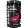 Anderson Xamin Red fruits 312 g - Integratore a base di aminoacidi essenziali