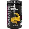 Anderson Xamin Tropical 312 g - Integratore a base di aminoacidi essenziali