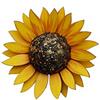 Petra's Bastel News Kit Fai da Te per 2 Girasoli (Medio), Composto da 48 Petali, 2 Sfere di polistirolo, 4 Fogli di Feltro e 1 Colla per bricolage, Legno, Naturale, 32 x 22 x 11 cm