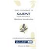 Imo Vaillant Olio Essenziale Cajeput 10 ml essenziale