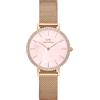 Daniel Wellington Orologio Donna Daniel Wellington Petite DW00100663