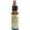 Laboratorio Erboristico di Leo - Wild Oat 10 ml