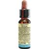 Laboratorio Erboristico di Leo - Sweet Chestnut 10 ml