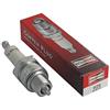 Greenstar 18874 - Candela Champion RL95YC