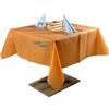 Generic GM 10 Tovaglie in TNT idrorepellenti Tessuto non Tessuto 150x150cm Colore ARANCIO, coprimacchia impermeabili ideali per la ristorazione, feste, Natale, compleanni, battesimi, vari colori