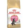 Royal Canin Cat Kitten Maine Coon 400 gr