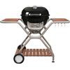 Outdoorchef Barbecue sferico a gas Montreux 570 G Outdoorchef