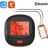 Tuya Termometro da Cucina Smart Bluetooth per Barbecue con 2 Sonde