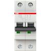 ABB Interruttore automatico S202-C16 6KA 2P Abb S465908 [20181000]