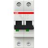 ABB Interruttore automatico S202-C25 6KA 2P Abb S466103 [20181000]