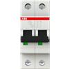 ABB Interruttore automatico S202-C10 6KA 2P Abb S465700 [20181000]
