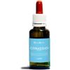 Coraggio fobie natur mix 30ml