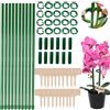 Santentre 20Pcs Regolabile Sostegno per Piante, 30CM Supporto per Piante,Bastoncini per Orchidee e Set di Clip per Piante Estensibili,Pomodori Tutore per Piante con Etichette per Piante & Connettori