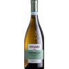Pinot Grigio Centofilari Cesari 2023 - Vini