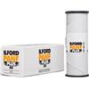 ILFORD PANF - 50ISO - 120 SCAD. 01-2024 -