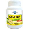 BODYLINE Srl Garcinia cambogia forte 60 capsule - - 971796925