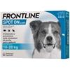 Frontline Boehringer Ing. Anim. H. It. Frontline Spot-on Cani