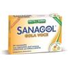 Phyto Garda Named Sanagol Gola Voce Miele Limone 24 Caramelle