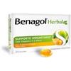 Reckitt Benckiser H. Benagol Herbal Miele 24 Pastiglie