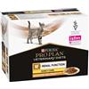 Purina Veterinary Diets Purina proplan diet nf gatto pollo renal function early care 10 buste 85 gr