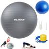 MILIWAN Palla Fitness e Palla Pilates Set di 2 Palle 65cm e 25cm Palla da Ginnastica per Fitness Yoga e Pilates Incluso il Gonfiatore (Grigio e Blu)