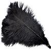 Sowder - Piume di struzzo di lunghezza 40-45 cm, confezione da 5 pezzi, ideali come decorazione per la casa o per matrimoni Nero