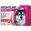 Frontline Tri-Act Spot-On Antiparassitario per Cani 6 Pipette, xl-40-60kg