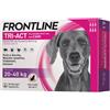 Frontline Tri-Act Spot-On Antiparassitario per Cani 6 Pipette, l-20-40kg