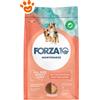 Forza10 Dog All Size Maintenance Light con Tonno e Riso - Sacco Da 12 Kg